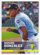 2021 Columbia Fireflies (Single-A Kansas City Royals) Herard Gonzalez
