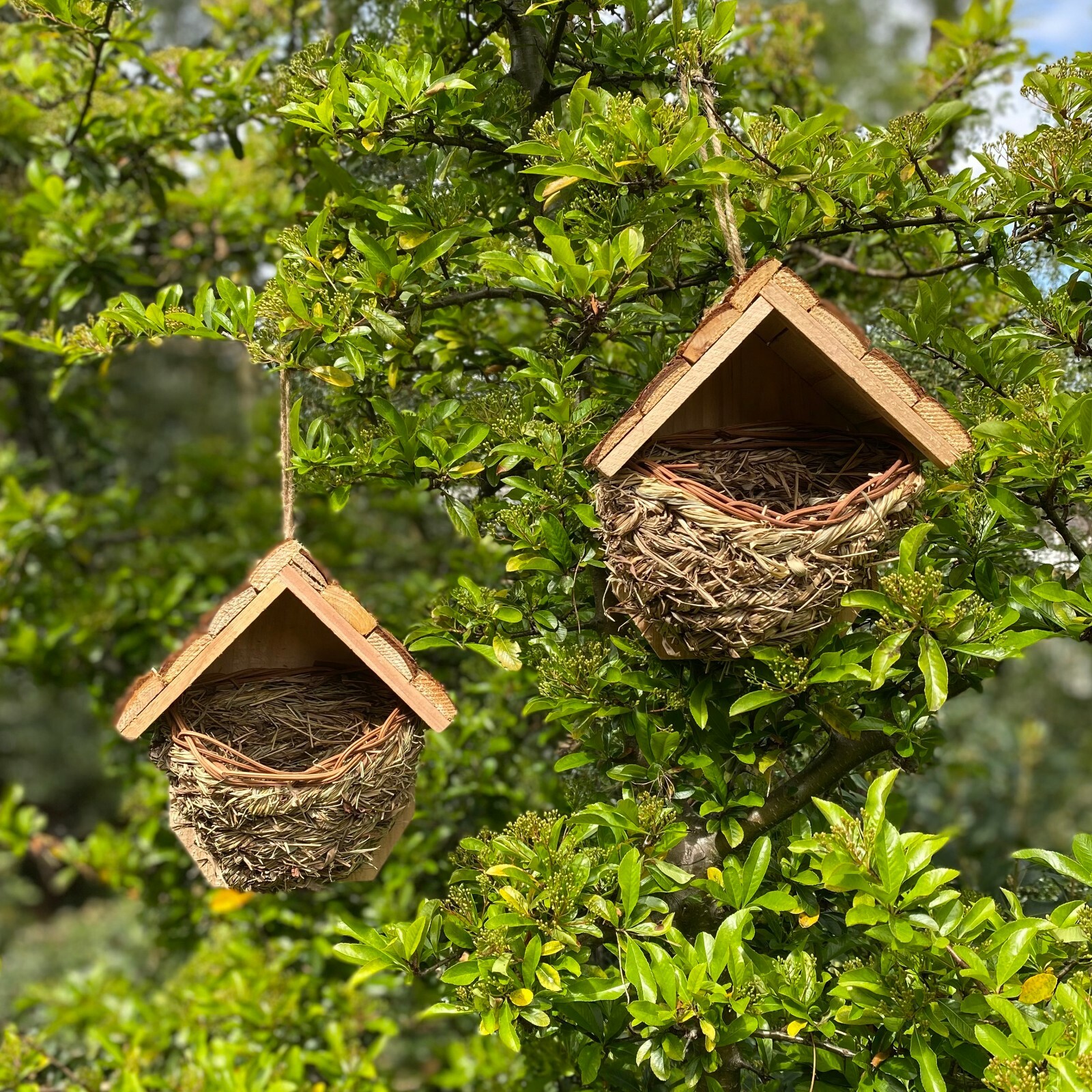 Woven House Martin Bird Nester with Roof Roosting Nesting (Set of 2)
