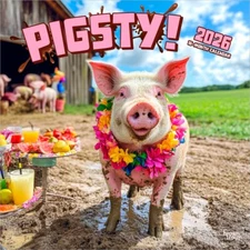 Pigsty | 2026 12x24" Square Wall Calendar | Plastic-Free