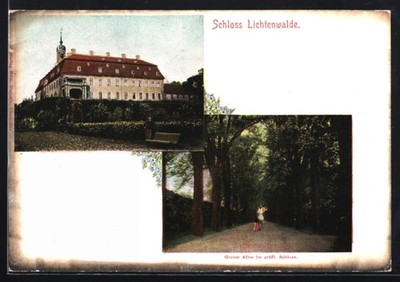 AK Lichtenwalde, Schloss Lichtenwalde, Grosse Allee im gräfl. Schloss 