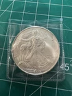 2004 American Silver Eagle 1 Troy oz