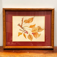 Original Signed Botanical Watercolor By Ewise Vintage Framed Artwork 15x12 Original Signed Botanical Watercolor By Ewise Vintage Framed Artwork 15x12
