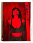 GEKKAN MAKI YOKO by LILY FRANKY JAPAN PHOTO BOOK 2008 w/Poster Z22