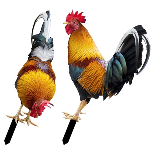 2 Pcs Simulated Rooster Decoration Roosters Outdoor Garden Stake