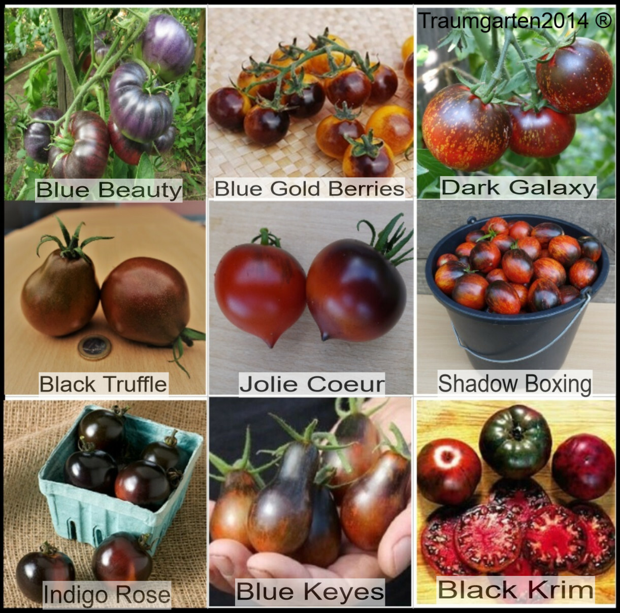 Tomatensamen Dunkle/Schwarze Tomatensorten Saatgut 9 seltene Sorten