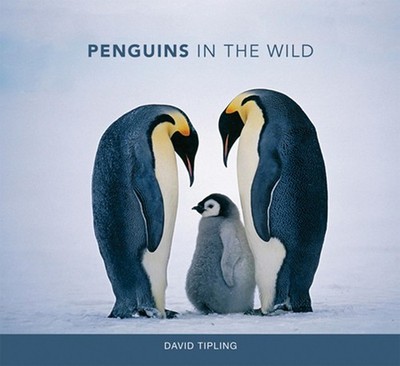 Penguins in the Wild (Mit Press), Tipling, David, Acceptable Book