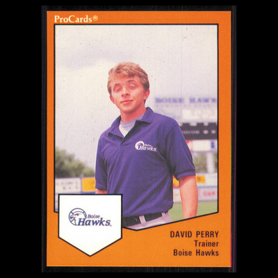 David Perry #1981 1989 ProCards Minor League Team Sets Boise Hawks Baseball Card