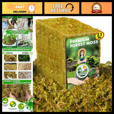 2.1 LBS Dried Forest Moss for Potted Plants  Plant Propagation - Natural Decor