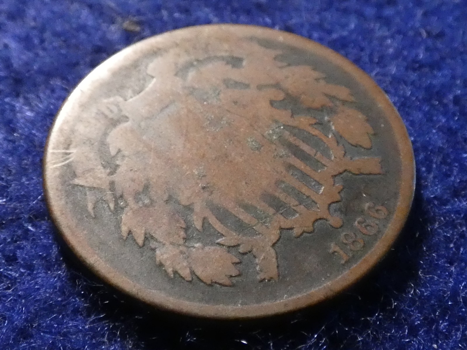 Picture 6 of 11