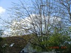 Bild 12 von 12