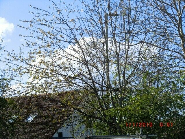 Bild 12 von 12