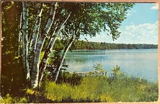 Sylvan Beach New York Oneida Lake Greetings Postcard 1958
