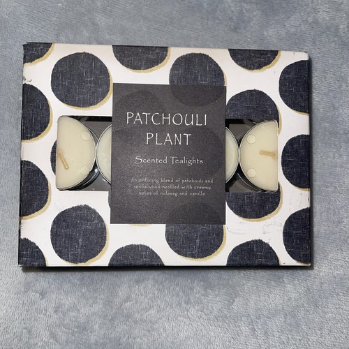 Patchouli Plant 24 Scented Tealights Brand New Sainsburys eBay