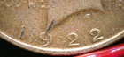 Foto 5 di 6