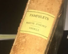 ANTIQUE MARINE ZOOLOGY 1860-70'S  A.E. VERRILL  Antique PAMPHLETS Plates, WORN 