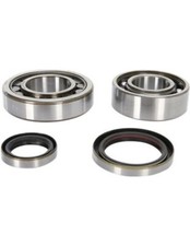 PROX PROX CRNKSHFT BRNG&SEAL KIT RM125 '89-98 23.CBS32089