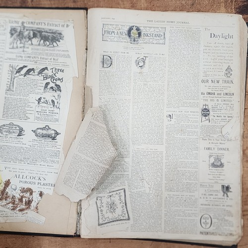 Bound Magazine: Ladies' Home Journal: 1892 January to December - Picture 7 of 24