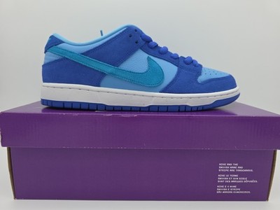 Nike Dunk Low Pro SB [Fruity Pack Blue Raspberry] DM0807-400 [Size 10] NEW