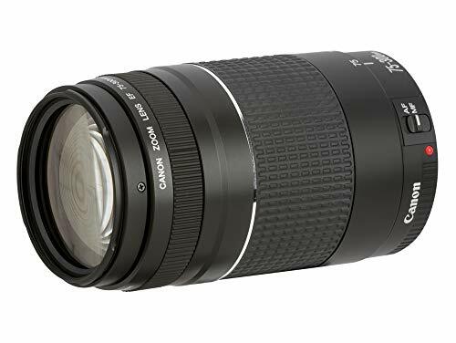 Canon Lens Ef 75 300 Mm 4 5 6 Iii 6473 A015aa Ebay