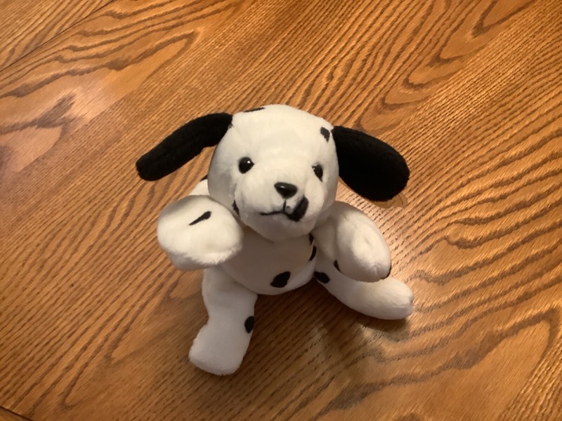 Ty Retired 1996 DOTTY the DALMATION born 10-17-96