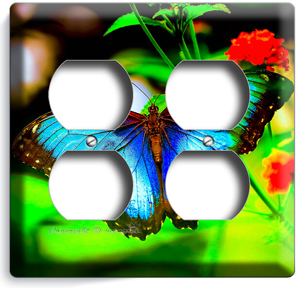 Bild 9 von 34