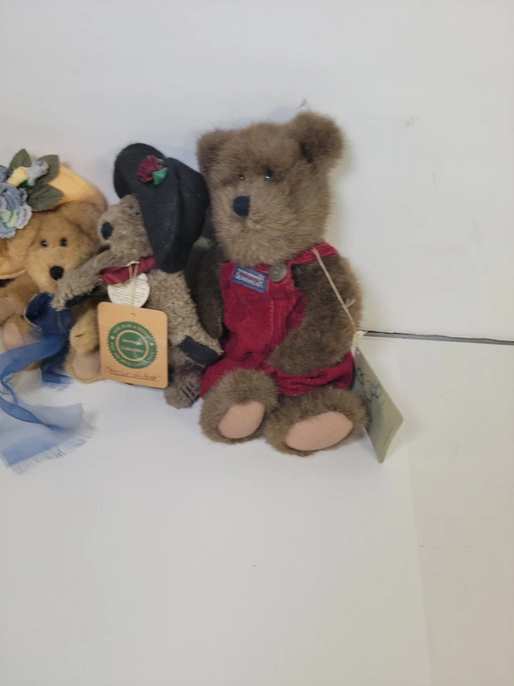 Lote de Osos Boyd's Genuinos Con Etiquetas Osos Surtidos Regalos Coleccionables Foto 2 de 4