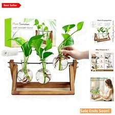 Plant Propagation Station with Wooden Stand and Glass Vases for Indoor Garden...