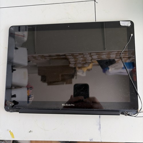 APPLE MACBOOK PRO 13 A1278 MID 2012 LED LCD SCREEN PANEL DISPLAY ASSEMBLY 4266