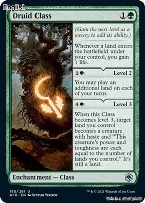 Druid Class EN [AFR - 180] - NM TCG MTG