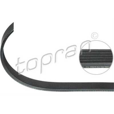 MASTER-SPORT GERMANY Cinghia Scanalata per Smart Forfour 1.3 1.1 1.5
