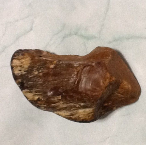 Petrified Wood ●  Ancient  ●  Fossil   ● - Picture 2 of 6