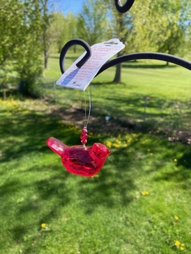 Cardinal of Comfort Ornament by Ganz Crystal Expressions - Acrylic - Picture 1 of 2