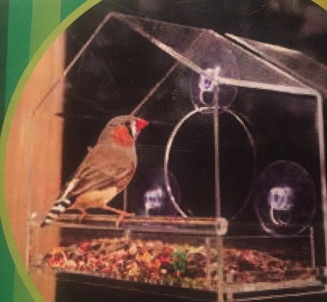 Unique Premium Squirrel Proof Window Bird Feeder By Chillax For