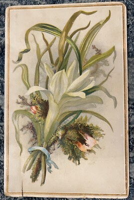 Willett s Favorite Coffee Label Easter Lilly Willett & Quinby Grocers Phila PA