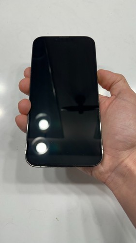 Apple iPhone 13 Pro Max - 128 Go - Vert alpin (Désimlocké) (CA) - Photo 3 sur 6