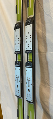 elan スキー板　race CRX 176cm titanium AXIAL Elan GSX Race Titanium 194cm 100-64-90 r=22.5m Skis World Cup