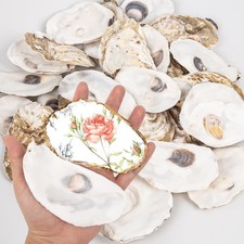 QICQDRAM 20PCS Flat Oyster Shells 4"-5" 20pcs, White and Light Brown