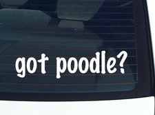 got poodle CAR DECAL BUMPER STICKER VINYL FUNNY JOKE WINDOW
