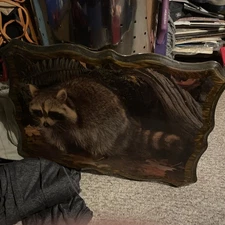 Retro Nature Image W/ Raccoon In The Forest (One Of A Kind)