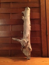 Beautiful 15" DRIFTWOOD Art Piece Terrarium Taxidermy Aquarium Beach Wood DECOR
