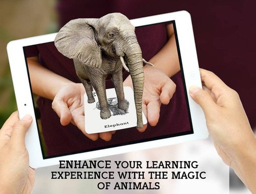 Carte Animali Ottagono 4D+ - Realtà Aumentata, Giocattolo Educativo - Foto 4 di 12