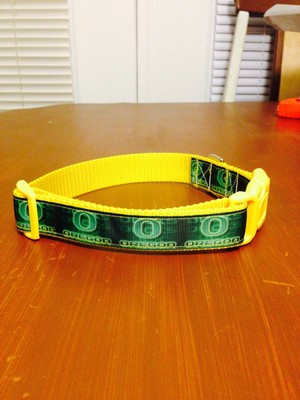 college football dog collars