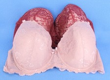 B. Luxe Underwire Lined Full Coverage Bra Bundle Lot Size 42D C6659