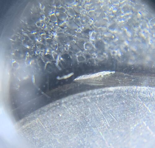 No Date Roosevelt Dime Double struck Both 99% 0ff center - Picture 2 of 5