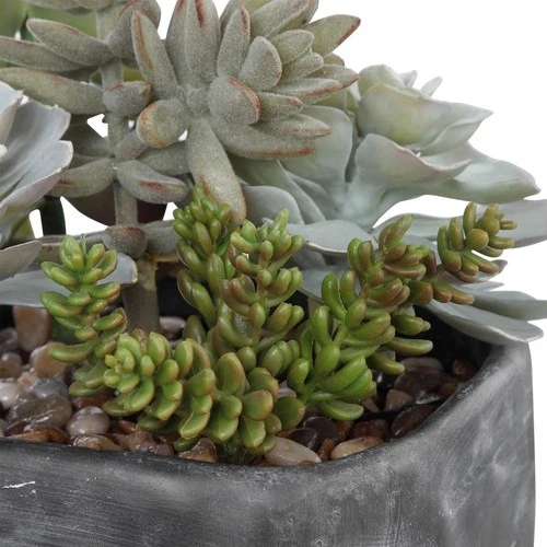 Alverio  - 10 inch Desert Garden Succulents Accessories Uttermost 60173 - Picture 5 of 8