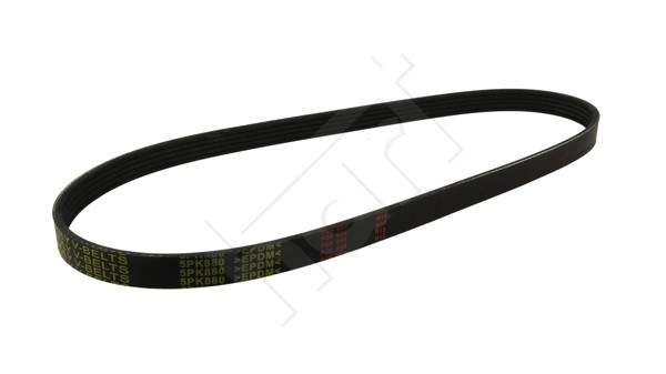 Hart 368 899 Keilrippenriemen FüR Chevrolet,CitroËN,Opel,Peugeot,Pontiac,Renault-image