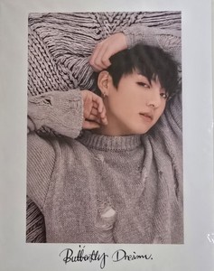 Jungkook Butterfly Dream Postcard