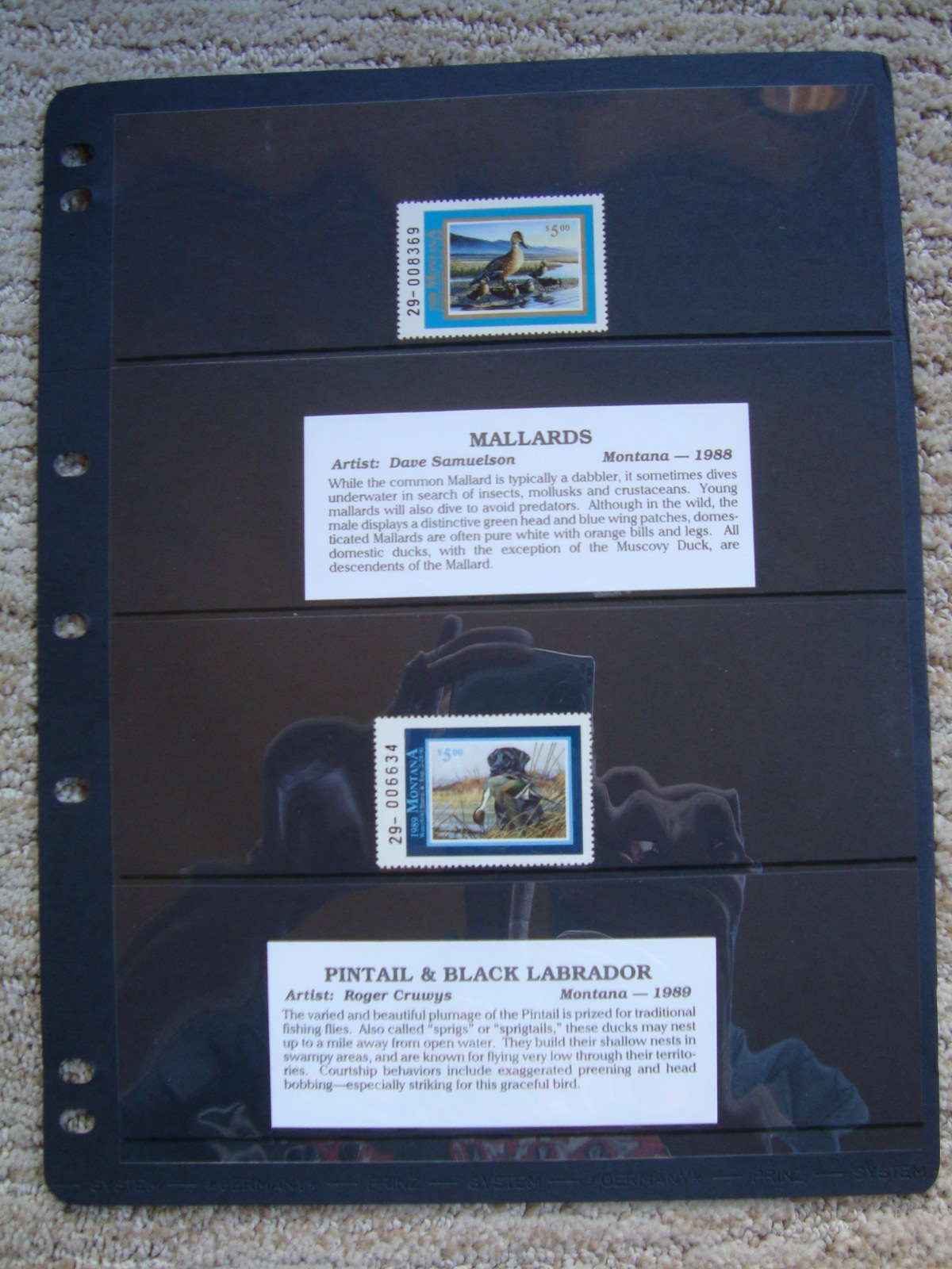 Picture 11 of 24