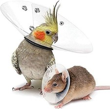 KVP Saf-T-Shield Recovery Collar for Rodents, Fits 2.25" to 3" Neck/4.25"