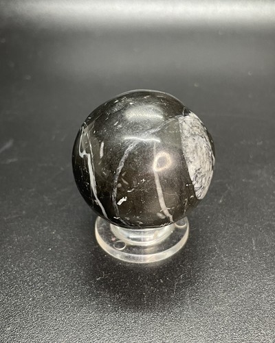 Polished Crinoid Fossil Crystal Sphere Fossilized Crinoid Ball 1.457” - Picture 2 of 12